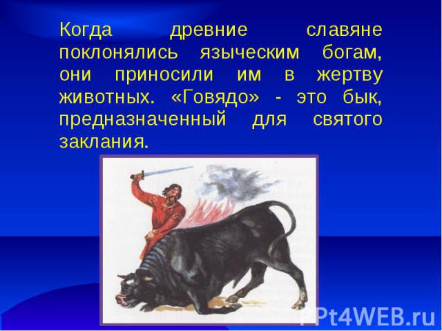 Когда древние славяне поклонялись языческим богам, они приносили им в жертву животных. «Говядо» - это бык, предназначенный для святого заклания.