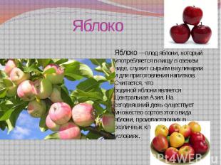 Яблоко  Яблоко —плод яблони, который употребляется в пищу в свежем виде, служит