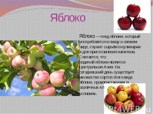 Яблоко  Яблоко —плод яблони, который употребляется в пищу в свежем виде, служит сырьём в кулинарии и для приготовления напитков. Считается, что родиной яблони является Центральная Азия. На сегодняшний день существует множество сортов этого вида ябло…