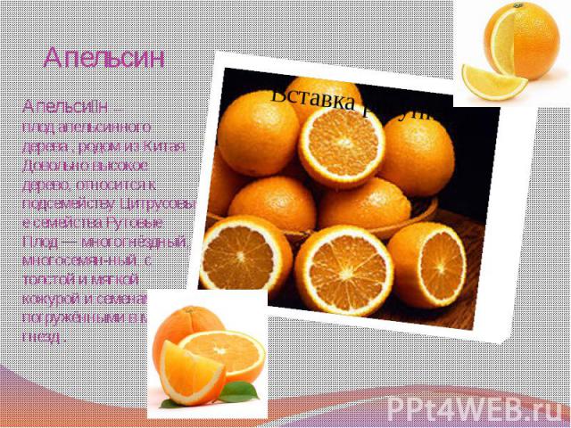 Апельсин Апельсин  — плод апельсинного дерева , родом из Китая. Довольно высокое дерево, относится к подсемейству Цитрусовые семейства Рутовые. Плод — многогнёздный, многосемян-ный, с толстой и мягкой кожурой и семенами, погружёнными в мякоть гнезд .