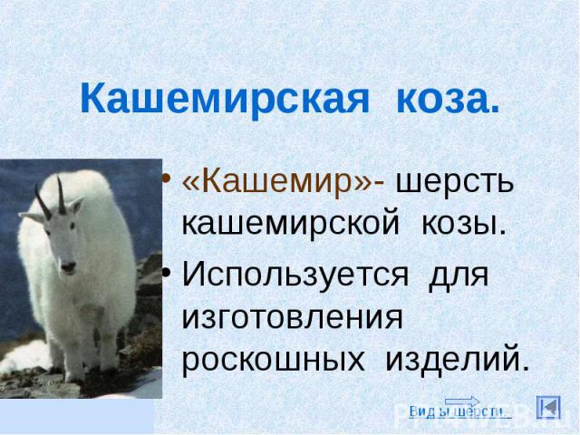 Кашемирская коза. «Кашемир»- шерсть кашемирской козы.Используется для изготовления роскошных изделий.