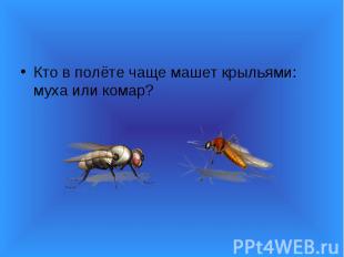 Кто в полёте чаще машет крыльями: муха или комар?