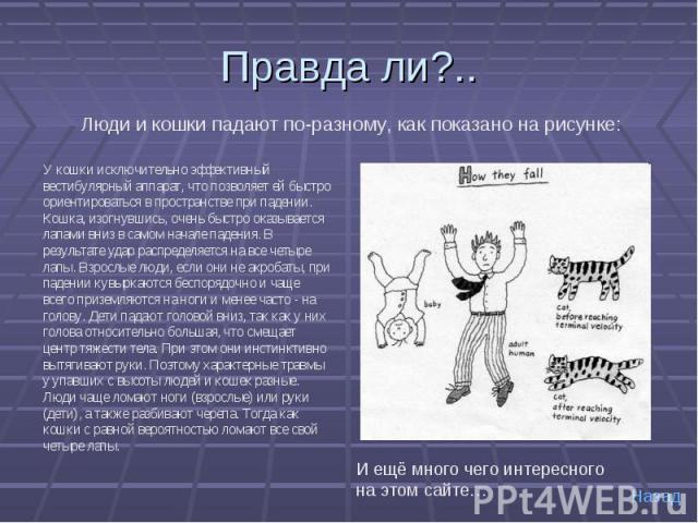 Правда ли?.. Люди и кошки падают по-разному, как показано на рисунке: У кошки исключительно эффективный вестибулярный аппарат, что позволяет ей быстро ориентироваться в пространстве при падении. Кошка, изогнувшись, очень быстро оказывается лапами вн…