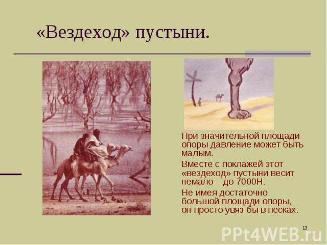 «Вездеход» пустыни. При значительной площади опоры давление может быть малым.Вместе с поклажей этот «вездеход» пустыни весит немало – до 7000Н.Не имея достаточно большой площади опоры, он просто увяз бы в песках.