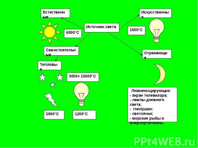 Люминесцирующие:- экран телевизора;- лампы дневного света;- гнилушки;- светлячки;- морские рыбы и микроорганизмы.