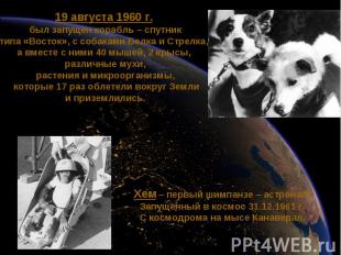 19 августа 1960 г. был запущен корабль – спутниктипа «Восток», с собаками Белка