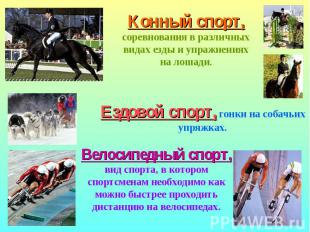 Конный спорт, соревнования в различных видах езды и упражнениях на лошади.Ездово