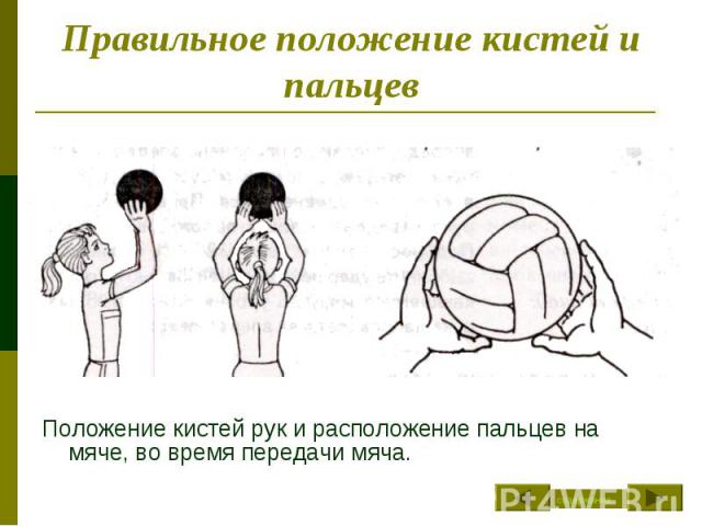 Правильное положение кистей и пальцев Положение кистей рук и расположение пальцев на мяче, во время передачи мяча.