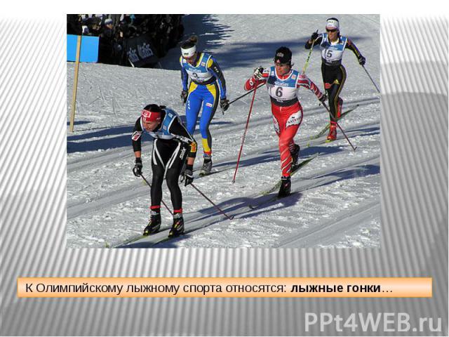 К Олимпийскому лыжному спорта относятся: лыжные гонки…