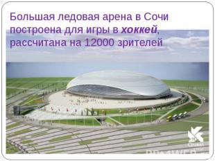 Большая ледовая арена в Сочи построена для игры в хоккей, рассчитана на 12000 зр