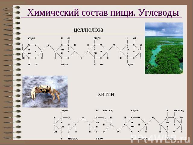 Химический состав пищи. Углеводы