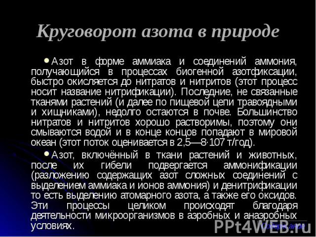 Круговорот азота в природе Азот в форме аммиака и соединений аммония, получающийся в процессах биогенной азотфиксации, быстро окисляется до нитратов и нитритов (этот процесс носит название нитрификации). Последние, не связанные тканями растений (и д…