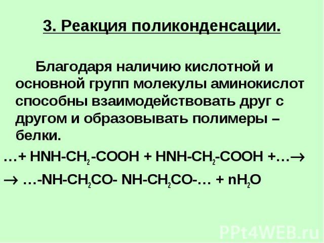 3. Реакция поликонденсации. Благодаря наличию кислотной и основной групп молекулы аминокислот способны взаимодействовать друг с другом и образовывать полимеры – белки.…+ HNH-CH2 -COOH + HNH-CH2-COOH +… …-NH-CH2CO- NH-CH2CO-… + nH2O