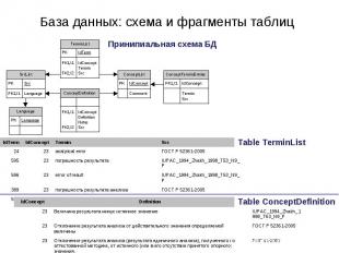 База данных: схема и фрагменты таблиц