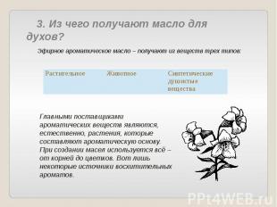 3. Из чего получают масло для духов? Эфирное ароматическое масло – получают из в