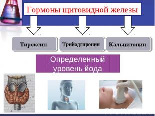 Гормоны щитовидной железы Определенный уровень йода