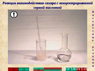 Реакция взаимодействия сахара с концентрированной серной кислотой