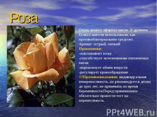 Роза Очень ценное эфирное масло. В древнем Египте жители использовали, как проти
