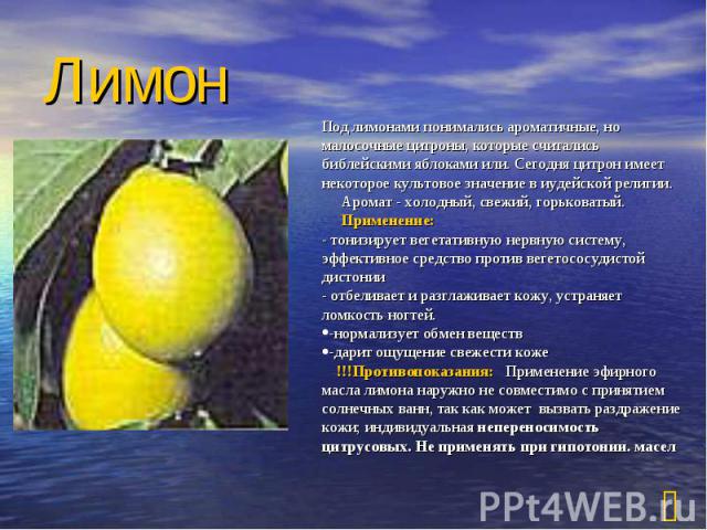 Лимон Под лимонами понимались ароматичные, но малосочные цитроны, которые считались библейскими яблоками или. Сегодня цитрон имеет некоторое культовое значение в иудейской религии.      Аромат - холодный, свежий, горьковатый.      Применение:  - тон…