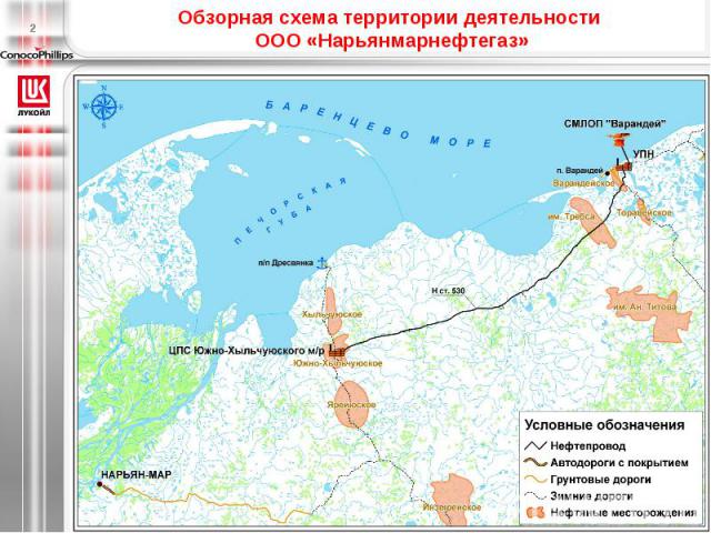 Обзорная схема территории деятельности ООО «Нарьянмарнефтегаз»