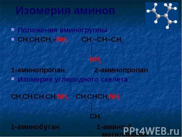 Изомерия аминов Положения аминогруппыCH3CH2CH2–NH2 CH3–CH–CH3 │ NH2 1-аминопропан 2-аминопропанИзомерия углеродного скелета CH3CH2CH2CH2NH2 CH3CHCH2NH2 │ CH31-аминобутан 1-амино-2- метилпропан
