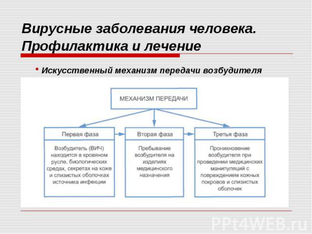 Вирусные заболевания человека. Профилактика и лечение Искусственный механизм передачи возбудителя