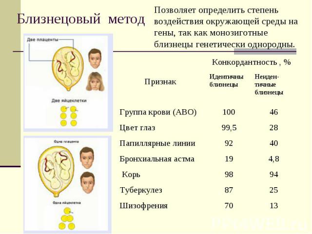 Приведите не менее двух примеров наследственной изменчивости проявляющиеся у детей на данном рисунке