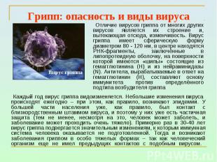 Грипп: опасность и виды вируса Отличие вирусов гриппа от многих других вирусов я