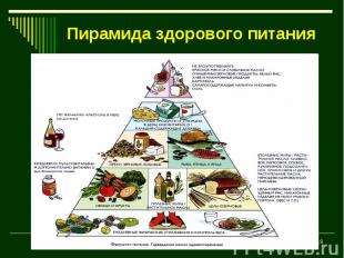Пирамида здорового питания