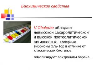 Биохимические свойства V.Cholerae обладает невысокой сахаролитической и высокой