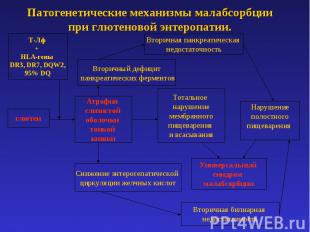 Патогенетические механизмы малабсорбции при глютеновой энтеропатии.