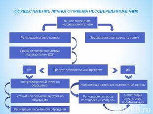 ОСУЩЕСТВЛЕНИЕ ЛИЧНОГО ПРИЕМА НЕСОВЕРШЕННОЛЕТНИХ