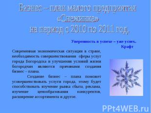 Бизнес – план малого предприятия «Снежинка» на период с 2010 по 2011 год. Уверен