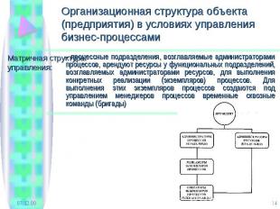 Организационная структура объекта (предприятия) в условиях управления бизнес-про