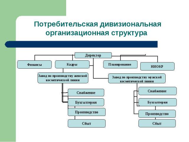 Потребительская дивизиональная организационная структура