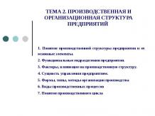 Производственная и организационная структура предприятий