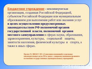 Бюджетное учреждение - некоммерческая организация, созданная Российской Федераци