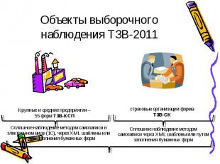 Объекты выборочного наблюдения ТЗВ-2011
