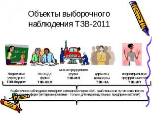 Объекты выборочного наблюдения ТЗВ-2011