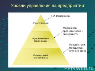 Уровни управления на предприятии