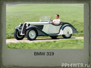 BMW 319