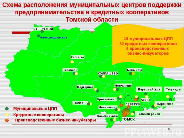Схема расположения муниципальных центров поддержки предпринимательства и кредитных кооперативов Томской области
