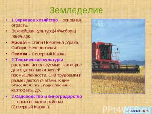 Земледелие 1.Зерновое хозяйство – основная отрасль.Важнейшая культура(44%сбора)