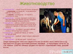 Животноводство 1.Скотоводство - самый большой объем продукции. а) молочное ското