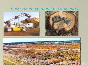 Лесозаготовительная отрасль