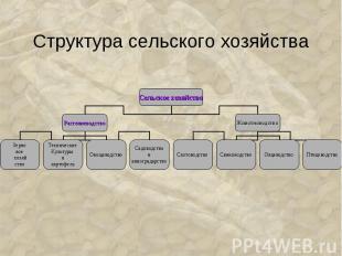 Структура сельского хозяйства