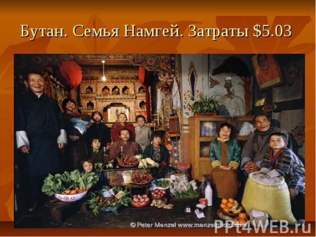 Бутан. Семья Намгей. Затраты $5.03