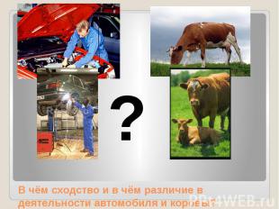 В чём сходство и в чём различие в деятельности автомобиля и коровы?