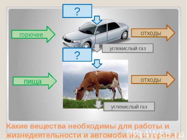 Какие вещества необходимы для работы и жизнедеятельности и автомобилю, и корове?