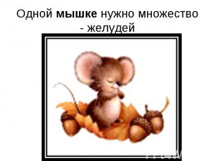 Одной мышке нужно множество - желудей